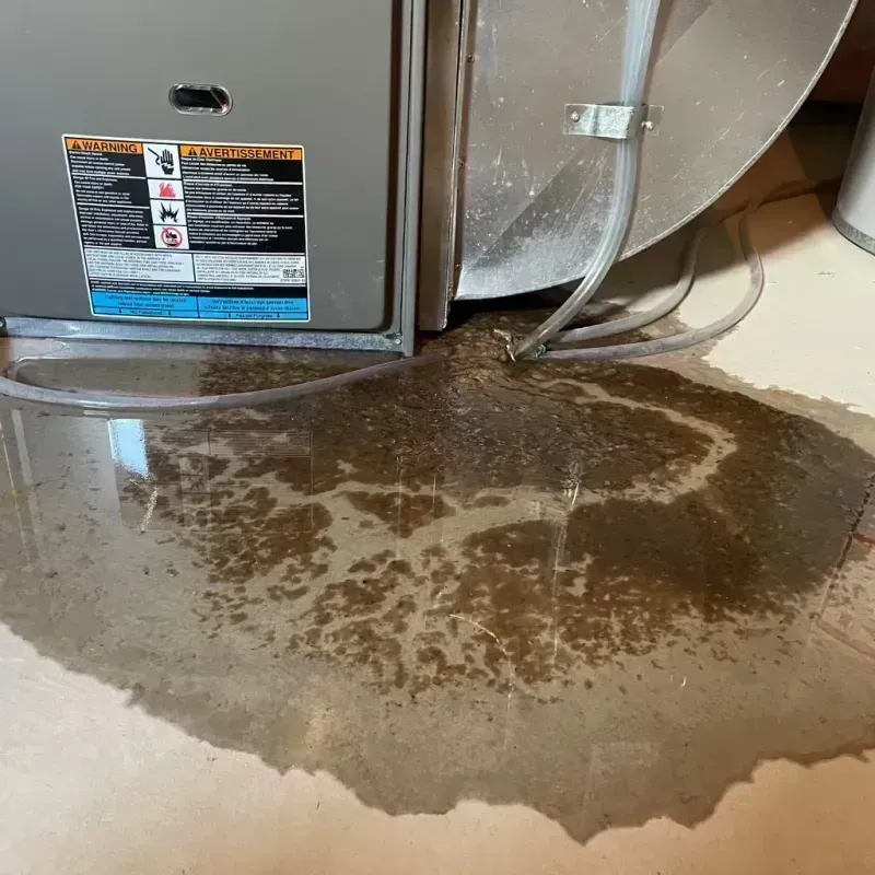 Appliance Leak Cleanup in Cameron, MO